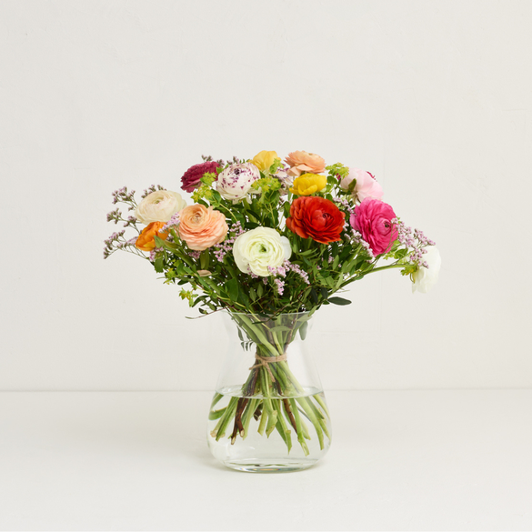 De farverige ranunkler